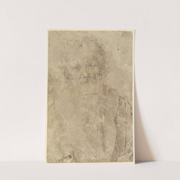 Bearded old man (ca. 1520 – 1521) by Albrecht Dürer