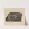 Bear&#039;s Head by Edwin Edwards