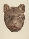 Bear’s Head