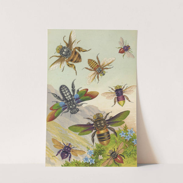 Beautiful Exotic Bees by Barret And Sons