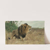 Beberlöwe (Berber Lion) by Wilhelm Kuhnert