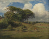 Beeches at the Dagsås Church, Halland