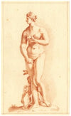 Beeld van de Venus Medicea
