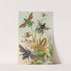 Bees And Their Conterfeits by Barret And Sons