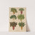 Beet or Swiss Chard (1876-1886) by Ernst Benary