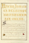 Beetlelike Insects (1561–1596)
