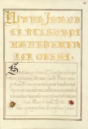 Beetlelike Insects (1561–1596)