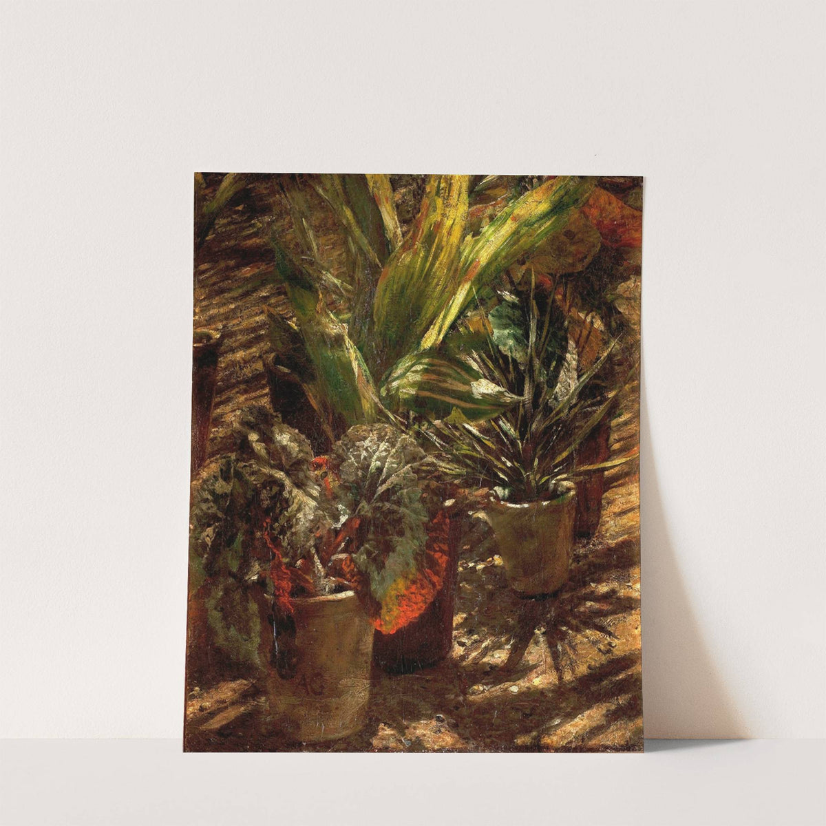 Begonias (between 1876 and 1880) by Aleksander Gierymski