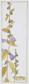 Bell Flower
