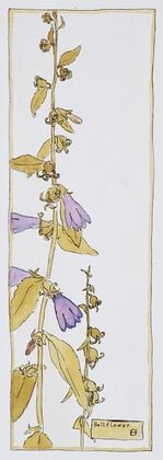 Bell Flower