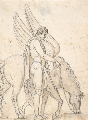 Bellerophon and Pegasus