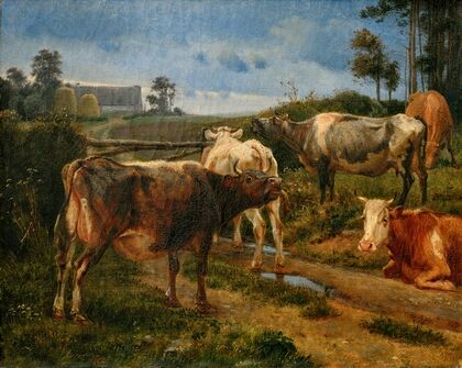 Bellowing cows by the fence gate