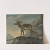 Bengal deer by David Kock