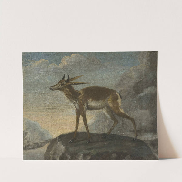 Bengal deer by David Kock