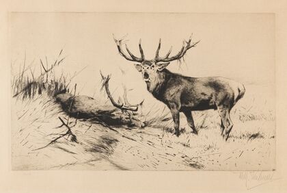 Besiegt (Rothirsche). (1920)
