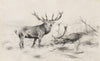 Besiegt (Rothirsche) (1920)