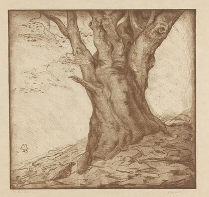 Beukenstam (1923)