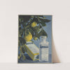 Bi-citrol Marinier (1910-1950) by Laboratoire Marinier