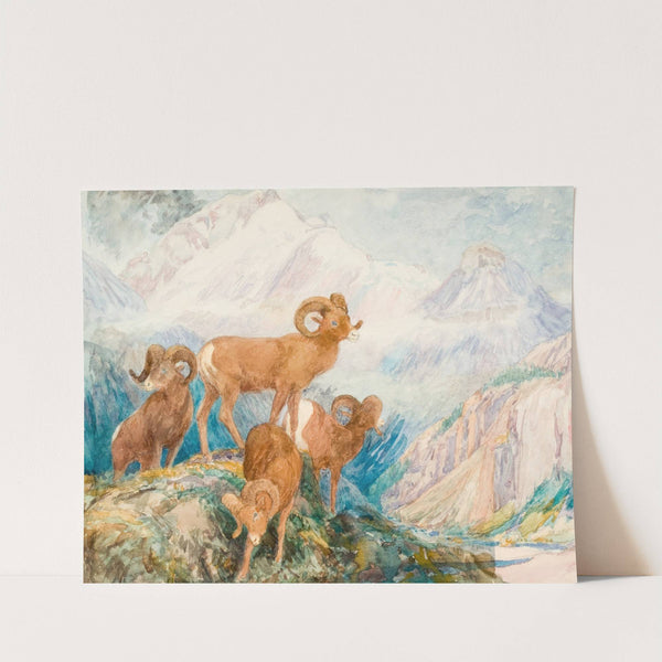 Big Horn Mountain Sheep (circa 1909) by Alexander Phimister Proctor