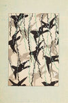 Bijutsukai Pl.80 (1901)