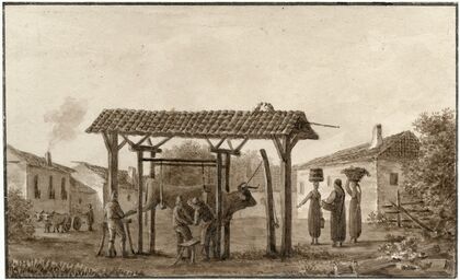 Binnenplaats van boerderij met vastgebonden os
