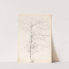 Birch (1881) by Jozef Brandt