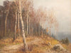 Birch forest