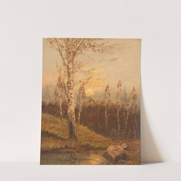 Birch forest in the evening by Anton Von Rüdt