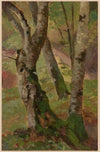 Birch Tree Trunks (1892-1910)