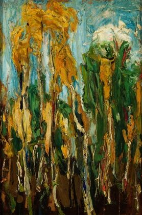 Birch trees