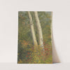 Birch Trees in Autumn (1865) by Frederic Edwin Church
