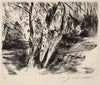 Birch Trees in the Tiergarten