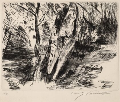 Birch Trees in the Tiergarten