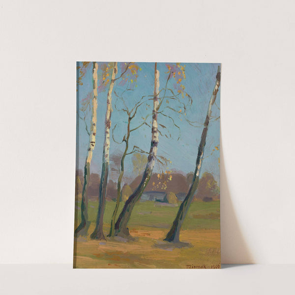 Birch trees near a village by Teodor Ziomek