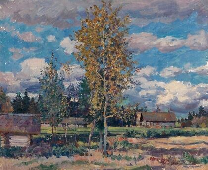 Birch Trees. Sunny Day