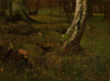 Birch trunk