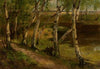 Birches at waterside