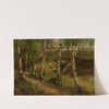 Birches at waterside by Curt Agthe