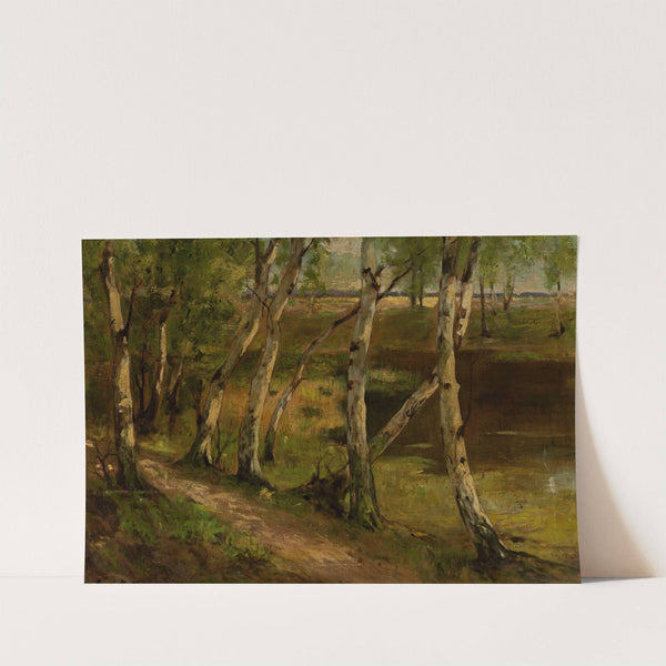 Birches at waterside by Curt Agthe