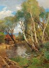 Birches by a mountain creek