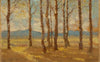 Birches in Autumn