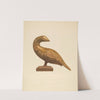 Bird by Roberta Spicer
