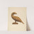 Bird by Roberta Spicer