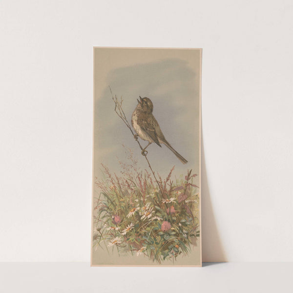 Bird on a stalk, singing (1883) by Fidelia Bridges