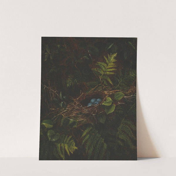 Bird’s Nest and Ferns by Fidelia Bridges