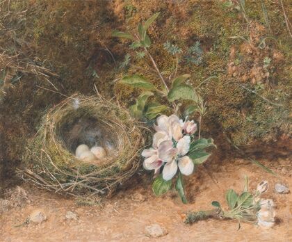 Bird’s Nest with Sprays of Apple Blossoms