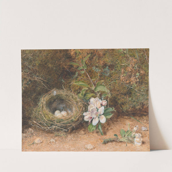 Bird&#039;s Nest with Sprays of Apple Blossoms by William Henry Hunt