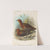 Birds of Philippines by John Gerrard Keulemans