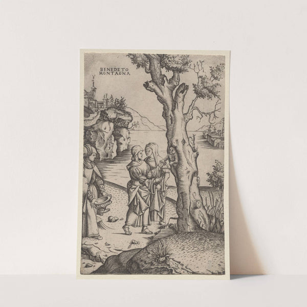 Birth of Adonis (c. 1515–20) by Benedetto Montagna