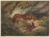 Bitch Fox and Cubs (1812)